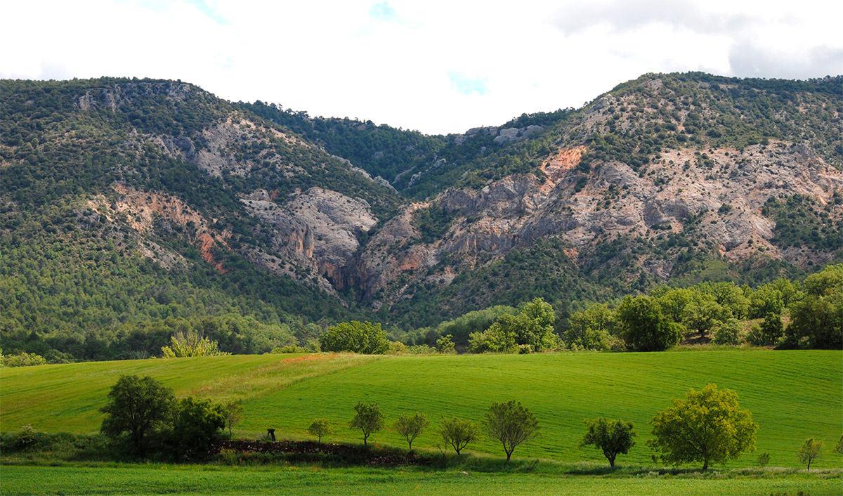 Imagen de los campos y montañas de la Serranía de Cuenca